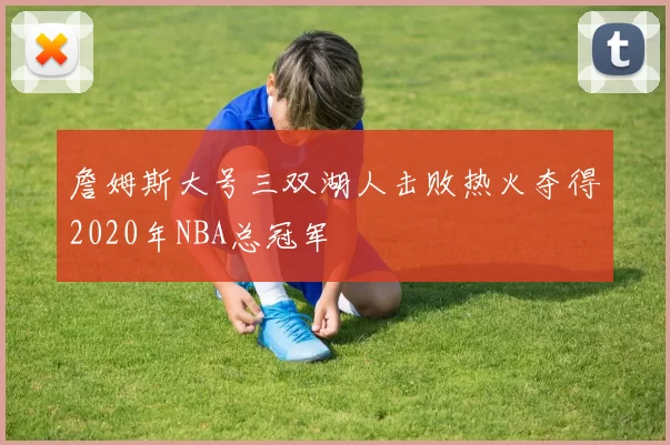 詹姆斯大号三双湖人击败热火夺得2020年NBA总冠军