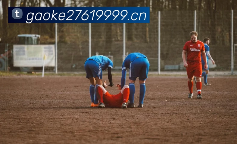 hth会体会网页版登录入口APP 封面图