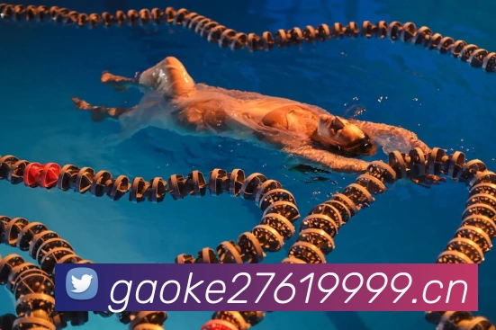 奖项2
